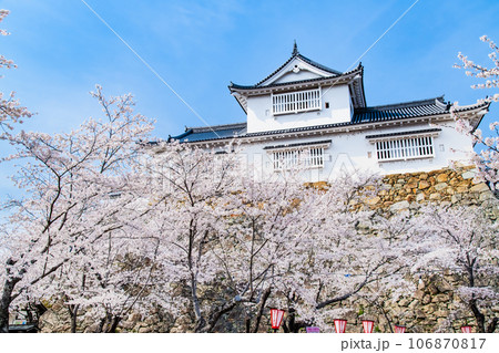 岡山 津山城 ~備中櫓と満開の桜~ 岡山 津山城 ~備中櫓と満開の桜~ 106870817