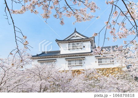 岡山 津山城 ~備中櫓と満開の桜~ 岡山 津山城 ~備中櫓と満開の桜~ 106870818