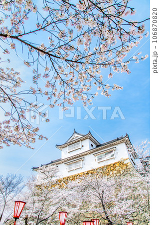 岡山 津山城　～備中櫓と満開の桜～ 106870820