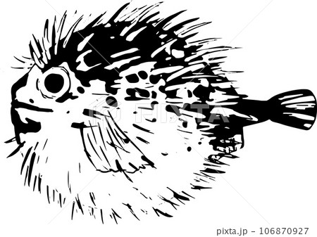 ハリセンボンの魚拓のイラスト 106870927