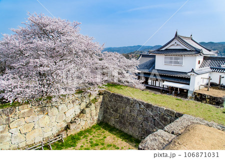 岡山 桜満開の津山城　～天守台から見る備中櫓～ 106871031