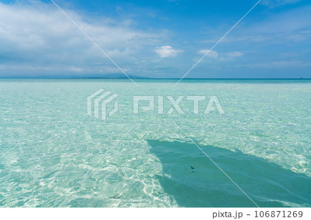 竹富島　サバニ体験 106871269