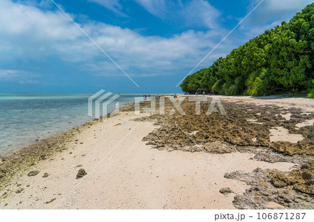 竹富島　サバニ体験 106871287