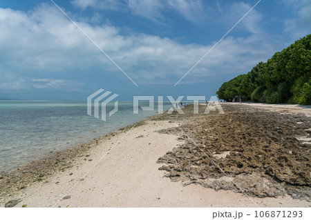 竹富島 サバニ体験 竹富島 サバニ体験 106871293