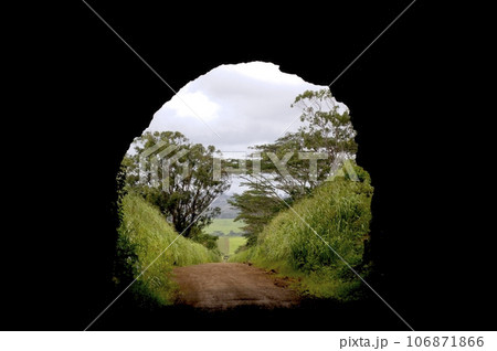 Kauai lava tube - the entrance 106871866