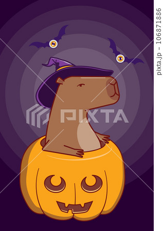 Serious capybara sit in pumpkin Serious capybara sit in pumpkin 106871886