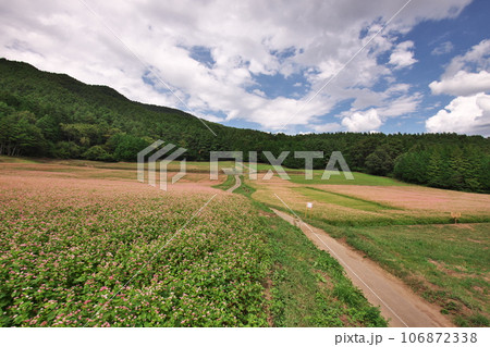 2023 赤そばの里1 106872338