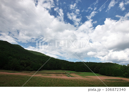 2023 赤そばの里3 106872340