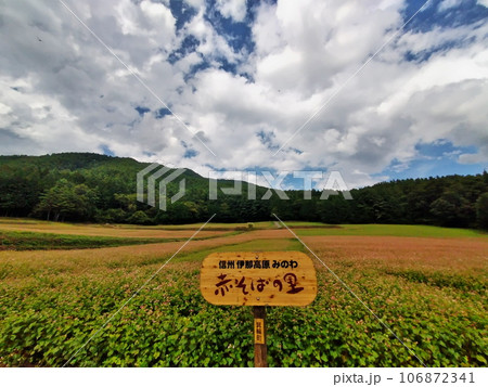 2023 赤そばの里4 106872341