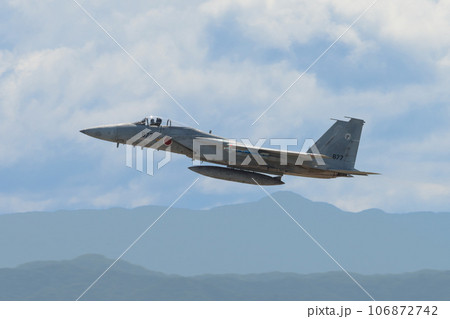 航空自衛隊第303飛行隊F-15Jイーグル低空飛行 航空自衛隊第303飛行隊F-15Jイーグル低空飛行 106872742