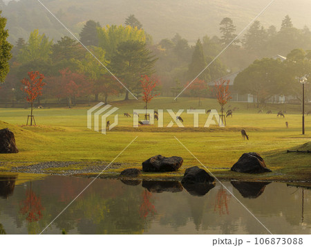 紅葉が広がる奈良公園春日野園地と三社託宣池 106873088