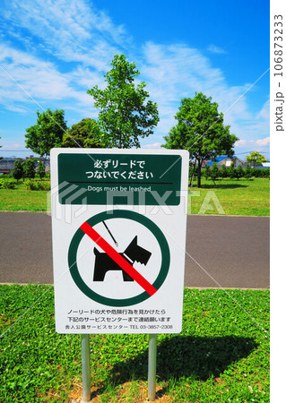 都立舎人公園（東京都足立区）内の風景 106873233