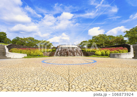 秋の国営みちのく杜の湖畔公園　彩りの広場のコキアのグラデーション　宮城県川崎町 106873924