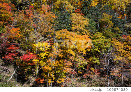 【北海道･支笏湖】支笏湖ブルーと周辺の紅葉 10月 106874080