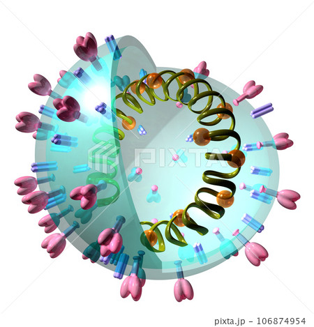 立体・3D「コロナウイルス/corona virus」 106874954