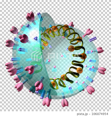 立体・3D「コロナウイルス/corona virus」 106874954