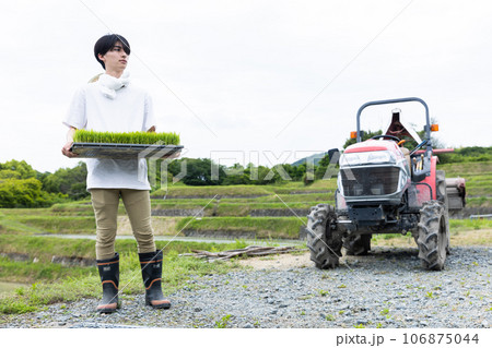 田植えをする若い男性 田植えをする若い男性 106875044