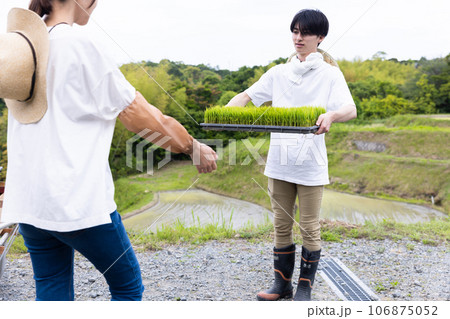 田植えをする若い男性 田植えをする若い男性 106875052