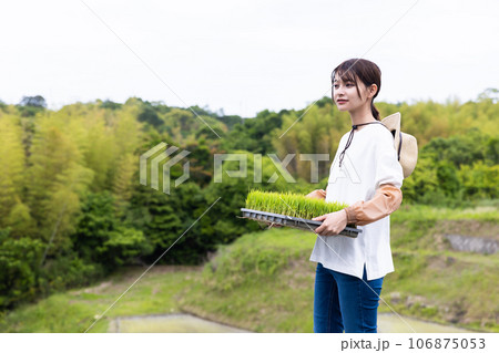田植えをする若い男性 田植えをする若い男性 106875053