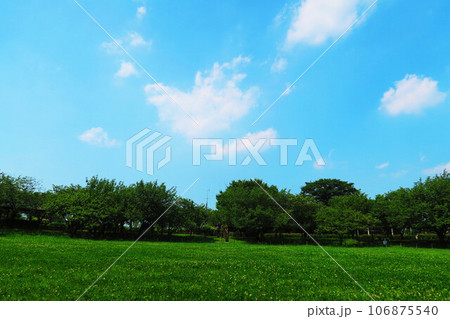 都市農業公園（東京都足立区）の様々な風景 106875540