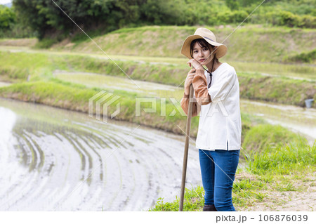 田植えをする若い女性 106876039