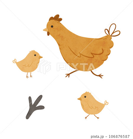 Set of Cartoon domestic chickens. Digital hand drawn farm birds illustration for textile design, poster, postcard. Cartoon style character drawing for printing on an isolated background 106876587