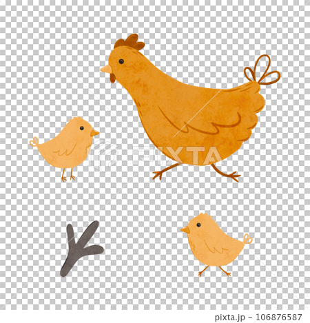 Set of Cartoon domestic chickens. Digital hand drawn farm birds illustration for textile design, poster, postcard. Cartoon style character drawing for printing on an isolated background 106876587