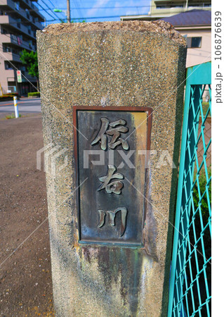 埼玉県川口市付近の伝右川の風景 106876639