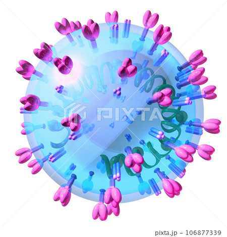 立体・3D「コロナウイルス/corona virus」 106877339