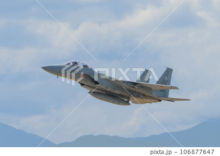 航空自衛隊第303飛行隊F-15DJイーグル 106877647