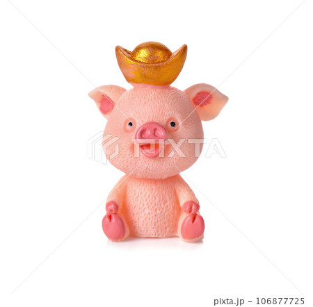 happy pig model with money , wealth and rich concept 106877725