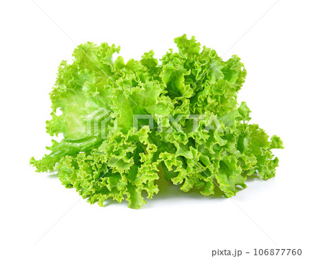 Salad leaf. Lettuce isolated on white background. 106877760