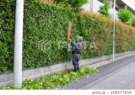 植木屋・造園業者の剪定作業 106877856