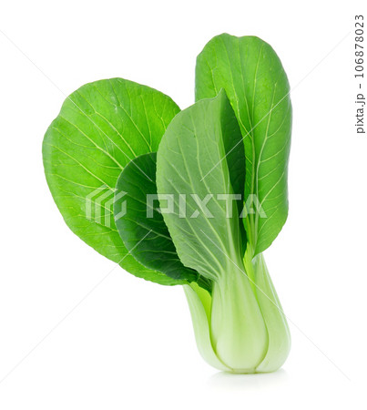 Bok choy (chinese cabbage) isolated on white 106878023