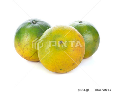 tangerine on white background 106878043