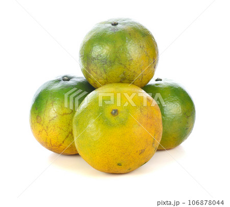 tangerine citrus fruit isolated on white background. 106878044