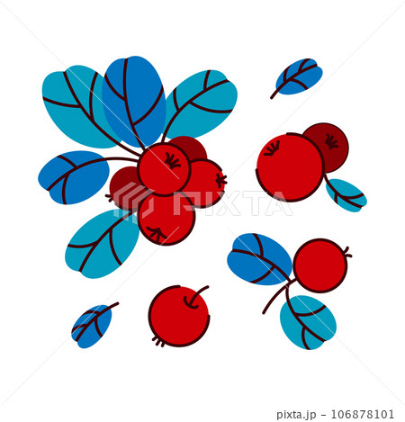 Vector set of lingonberries and cranberries. Collection of raw berries on a branch, a handful of berries on a white background. Autumn berry illustration. Great for labels, posters, prints and Vector set of lingonberries and cranberries. Collection of raw berries on a branch, a handful of berries on a white background. Autumn berry illustration. Great for labels, posters, prints and 106878101