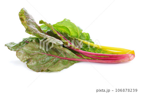 lettuce vegetable isolated on white background 106878239