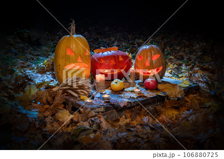 Halloween pumpkin with candle closeup in dark forest. Halloween festive background 106880725