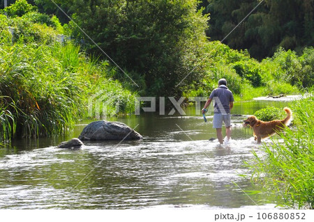 川遊びの人気スポット都幾川の清流を愛犬と散歩する飼い主の幸せな風景 106880852