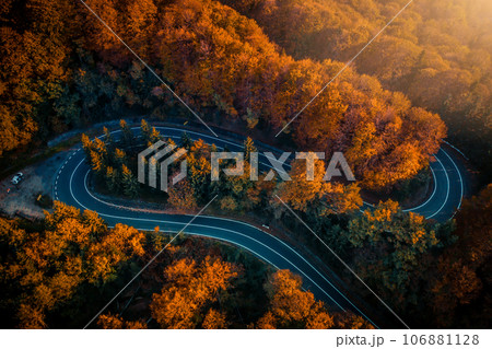 Transfagarasan serpentine going through forest Transfagarasan serpentine going through forest 106881128