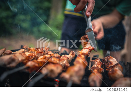 Barbecue at the nature 106881142
