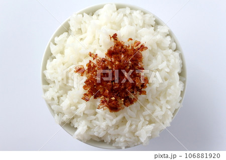 茶碗に盛ったご飯と手作りのおかかふりかけ 106881920