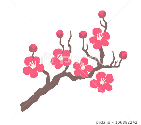 梅の花 赤ピンク 梅の花 赤ピンク 106882242