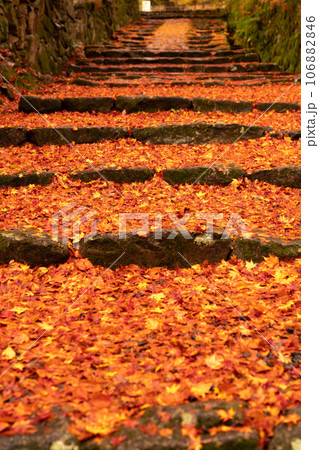 滋賀県 湖東三山の1つ百済寺百済寺の秋の紅葉を撮影 滋賀県 湖東三山の1つ百済寺百済寺の秋の紅葉を撮影 106882846