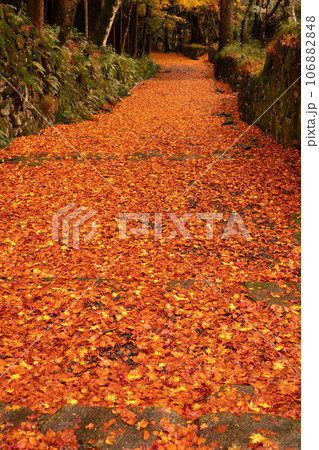滋賀県 湖東三山の1つ百済寺百済寺の秋の紅葉を撮影 滋賀県 湖東三山の1つ百済寺百済寺の秋の紅葉を撮影 106882848