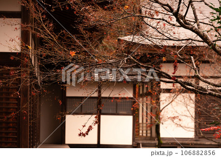 滋賀県 湖東三山の1つ百済寺百済寺の秋の紅葉を撮影 滋賀県 湖東三山の1つ百済寺百済寺の秋の紅葉を撮影 106882856