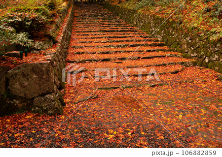 滋賀県 湖東三山の1つ百済寺百済寺の秋の紅葉を撮影 滋賀県 湖東三山の1つ百済寺百済寺の秋の紅葉を撮影 106882859