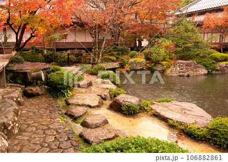 滋賀県 湖東三山の1つ百済寺百済寺の秋の紅葉を撮影 106882861