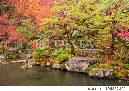 滋賀県 湖東三山の1つ百済寺百済寺の秋の紅葉を撮影 106882863